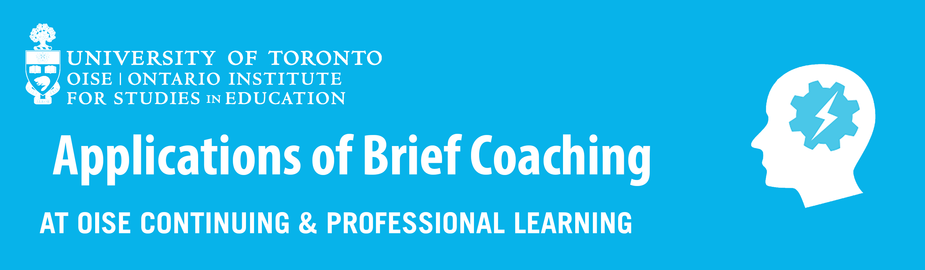 Application of Brief Coaching Course Banner